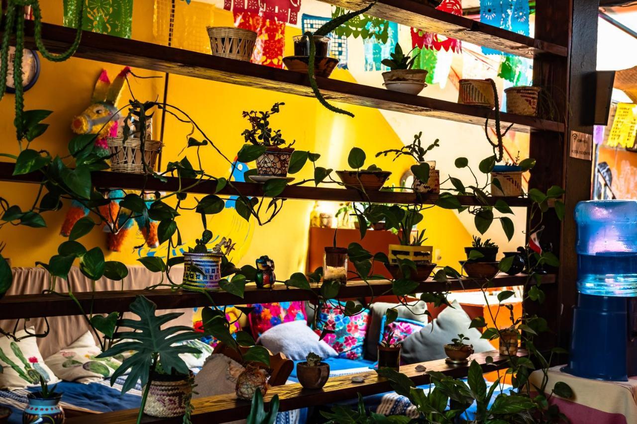 Hostal Pochon Oaxaca Bagian luar foto