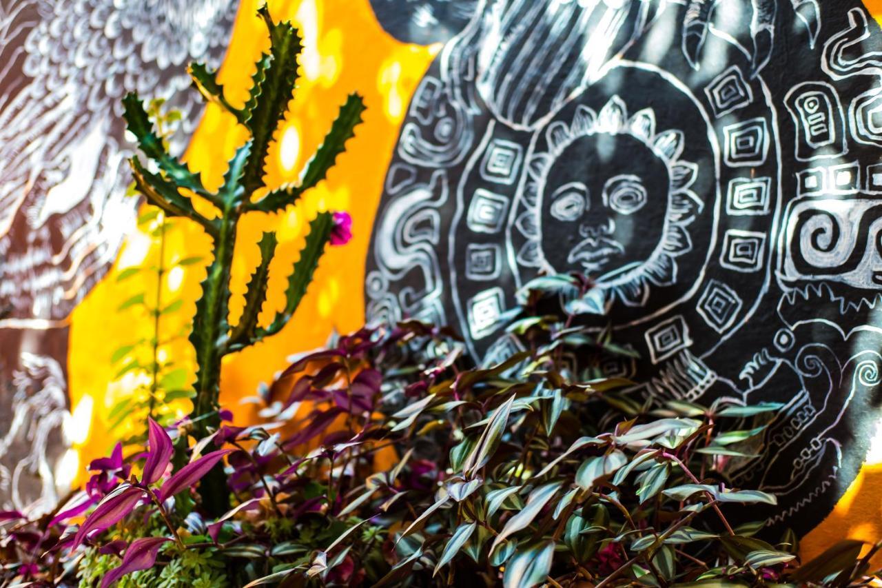 Hostal Pochon Oaxaca Bagian luar foto